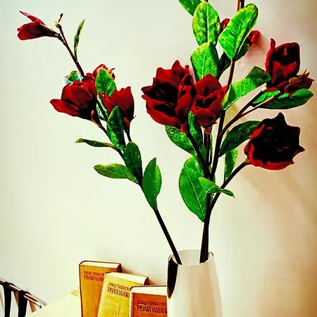 بيت ضيافة Vhostel وارسو